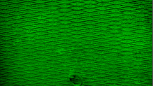 godhelm_grunge-texture.png SwapGRBGreen