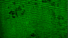 godhelm_grunge-texture.png SwapRGBGreen