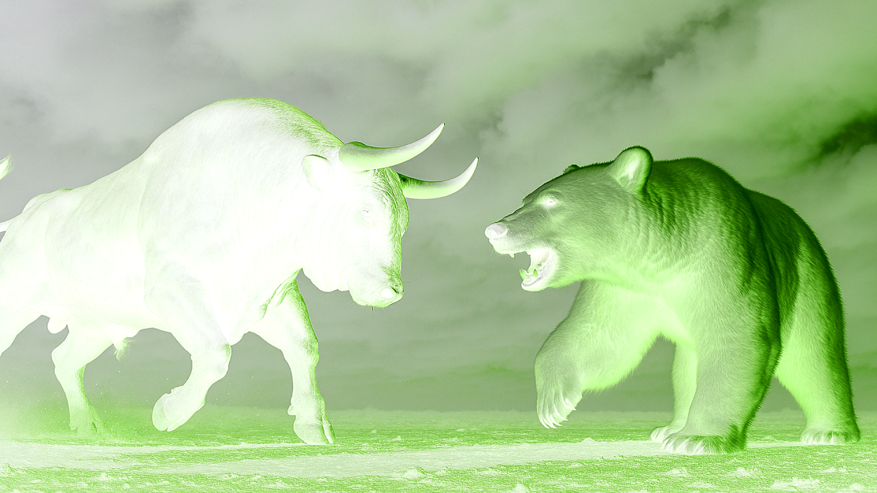bear-vs-bull.png