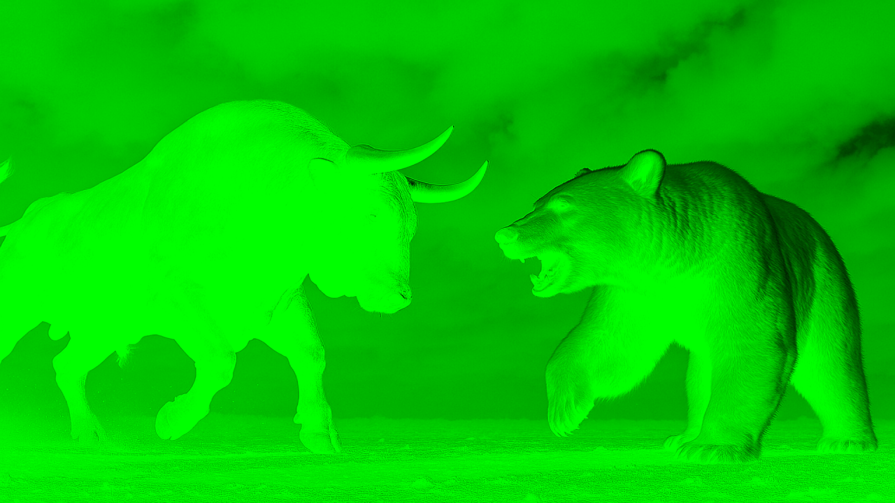 bear-vs-bull.png