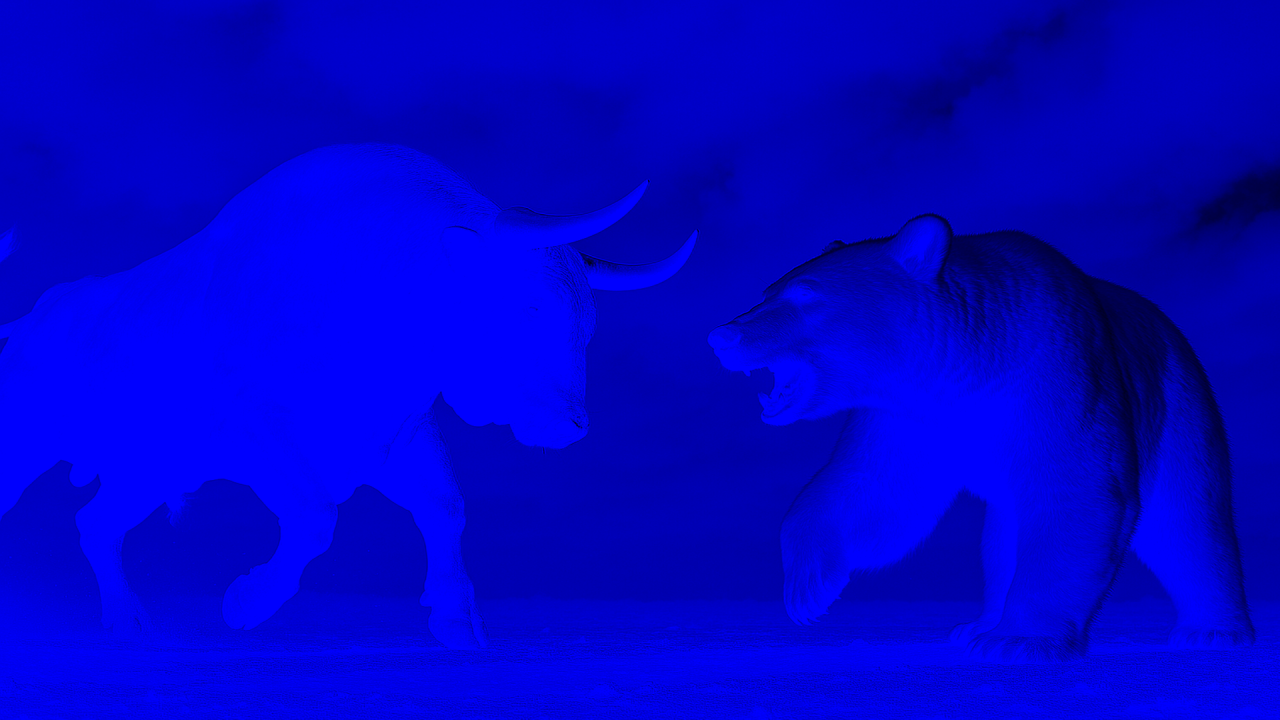 bear-vs-bull.png